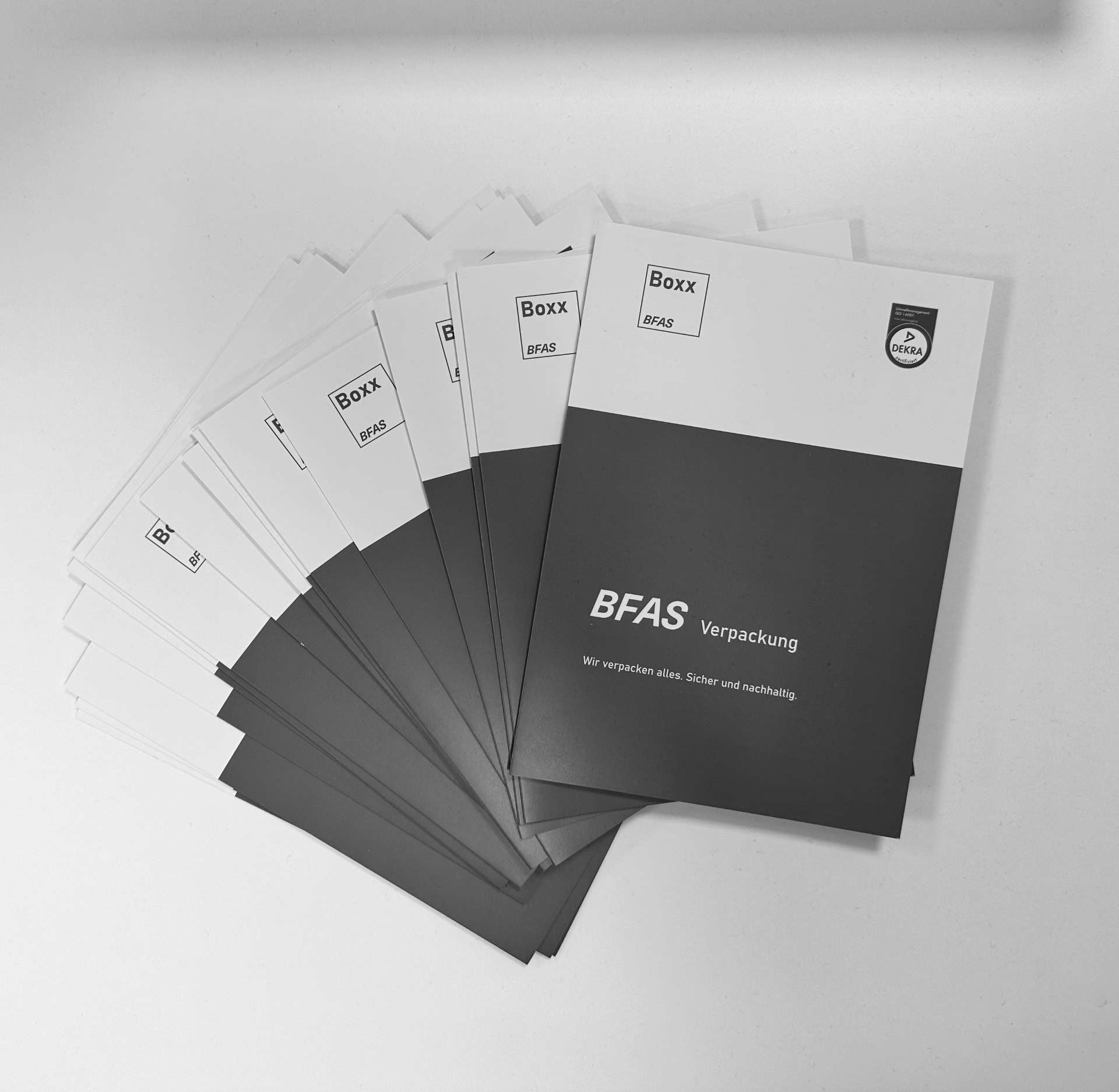 Neuer Folder Verpackung (12/25)