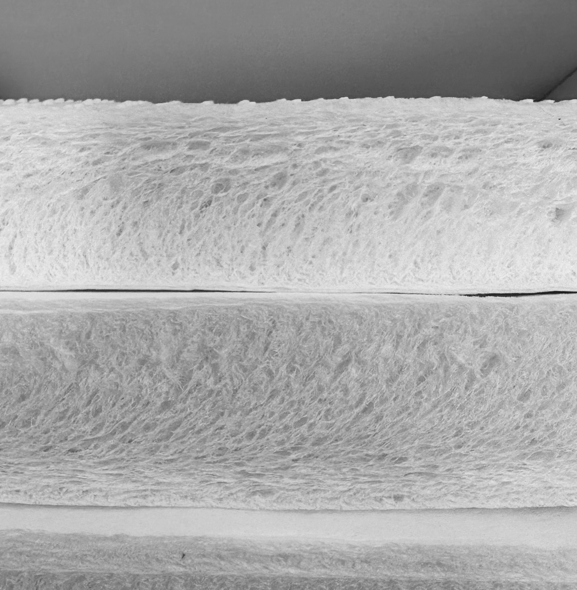 Neue Verpackungsmaterialien aus Zellstoff (05/26)